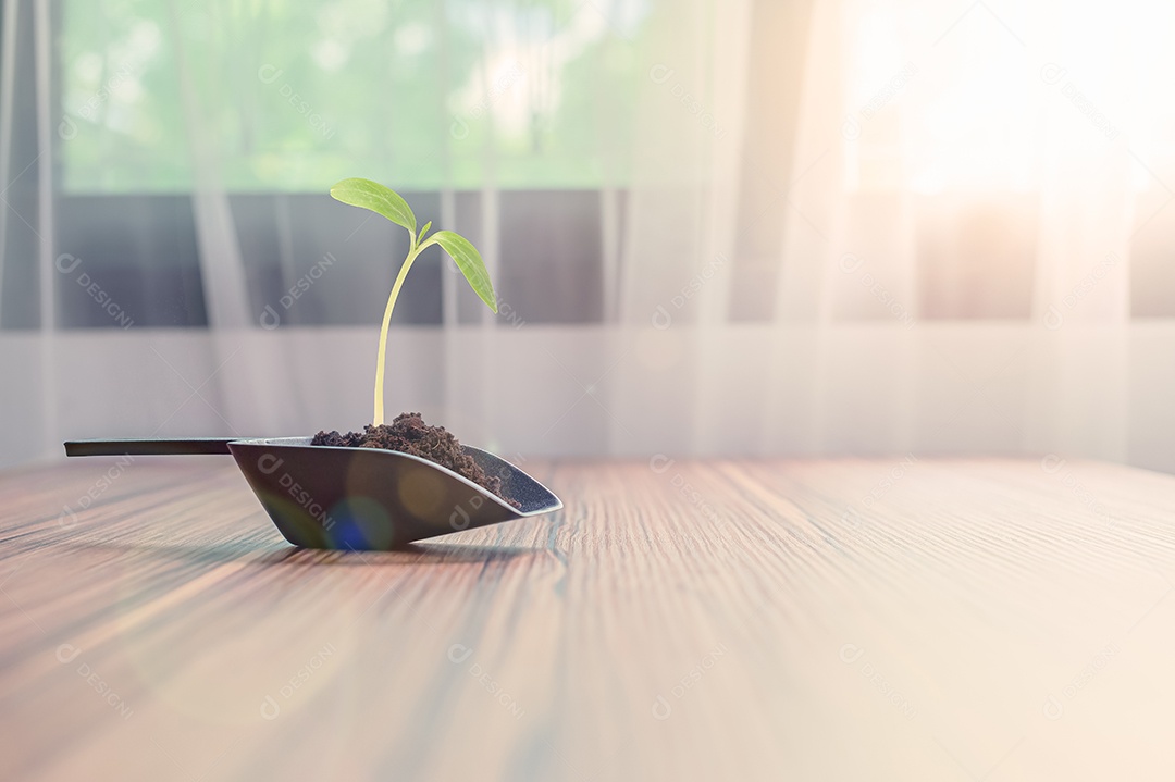 Vasos de plantas plantados no quarto