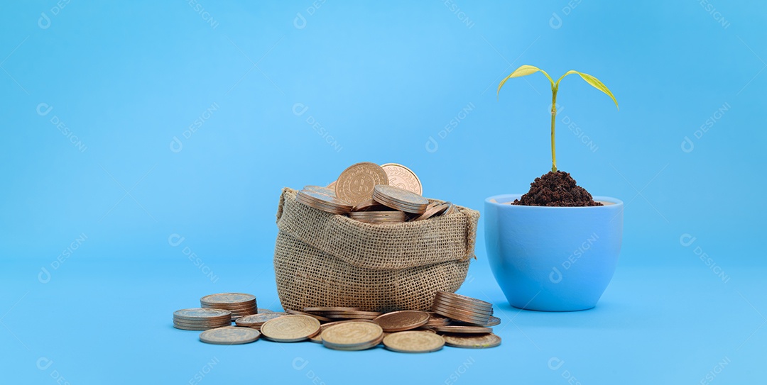 Conceito investimento estoque finanças crescimento economizando dinheiro