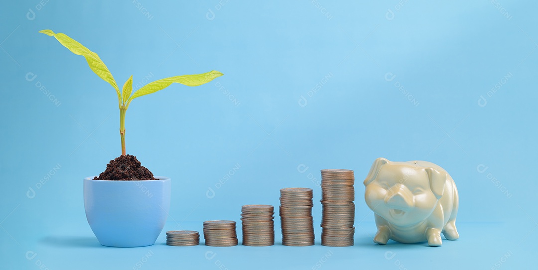 Financiamento de negócios de dinheiro crescente e conceito de investimento de dinheiro