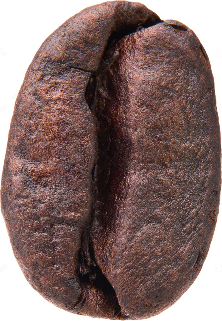 Grãos de café em um fundo branco