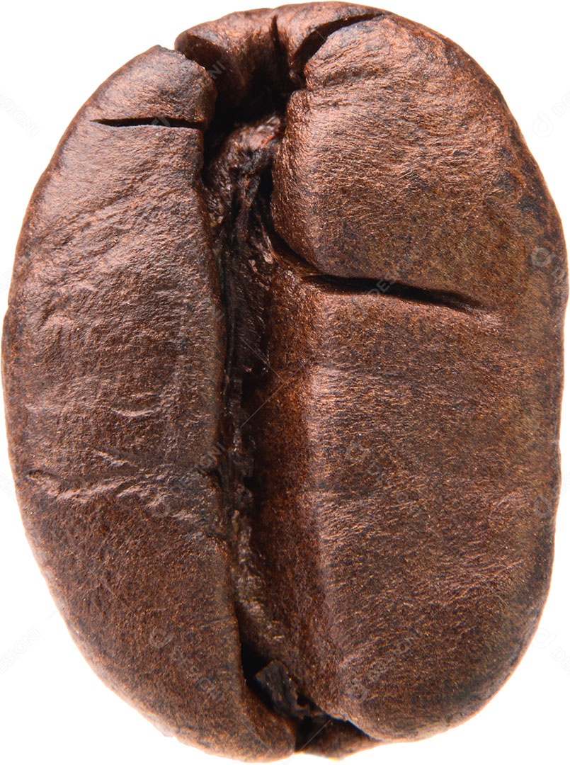 Grãos de café em um fundo branco