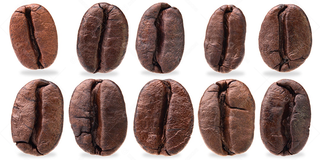 Coleção de grãos de café em um fundo branco