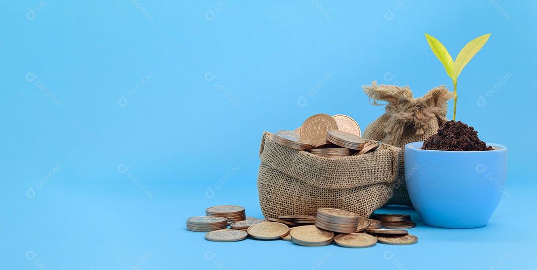 Conceito investimento estoque finanças crescimento economizando dinheiro