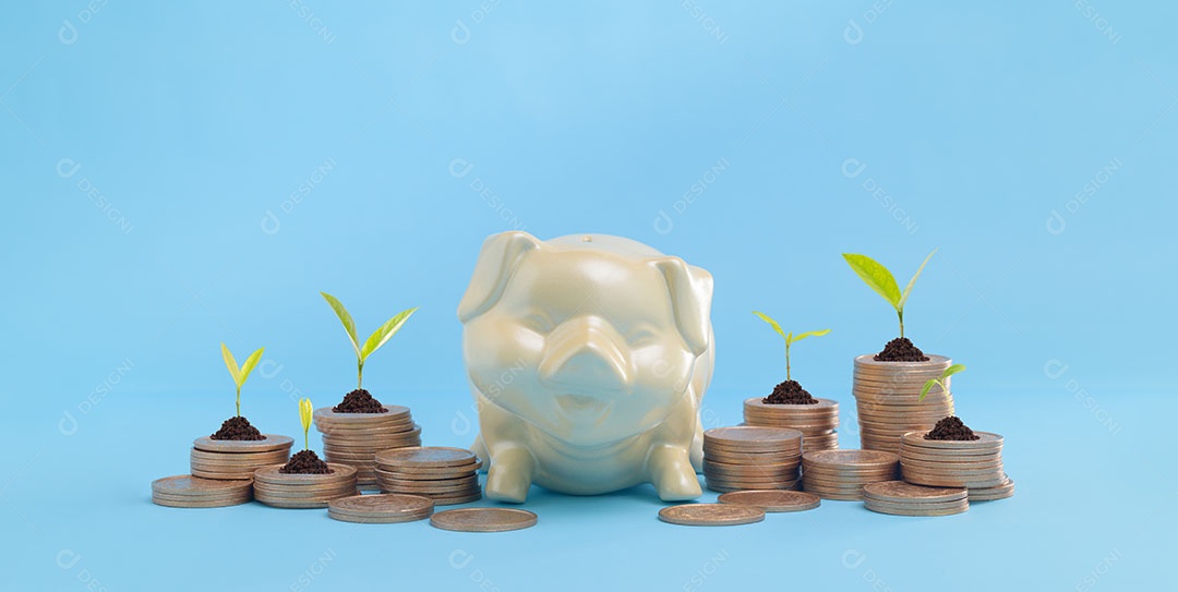 Financiamento de negócios de dinheiro crescente e conceito de investimento de dinheiro empilhado moedas
