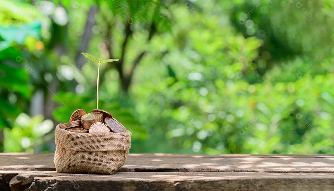 Moedas empilhadas de conceito investem estoque economizam dinheiro