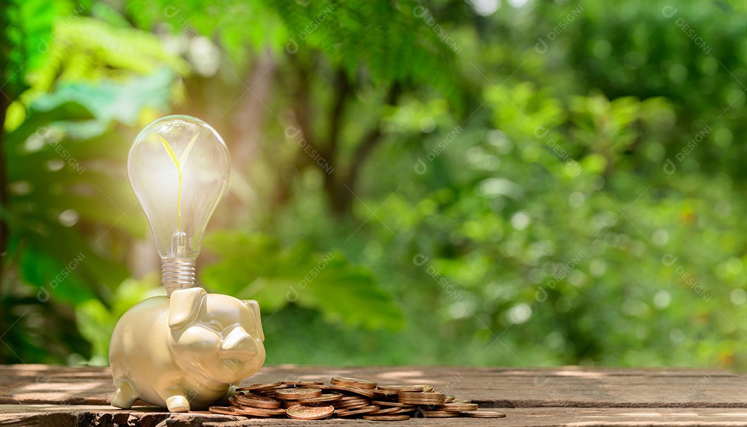 Salvando o cofrinho do conceito de dinheiro