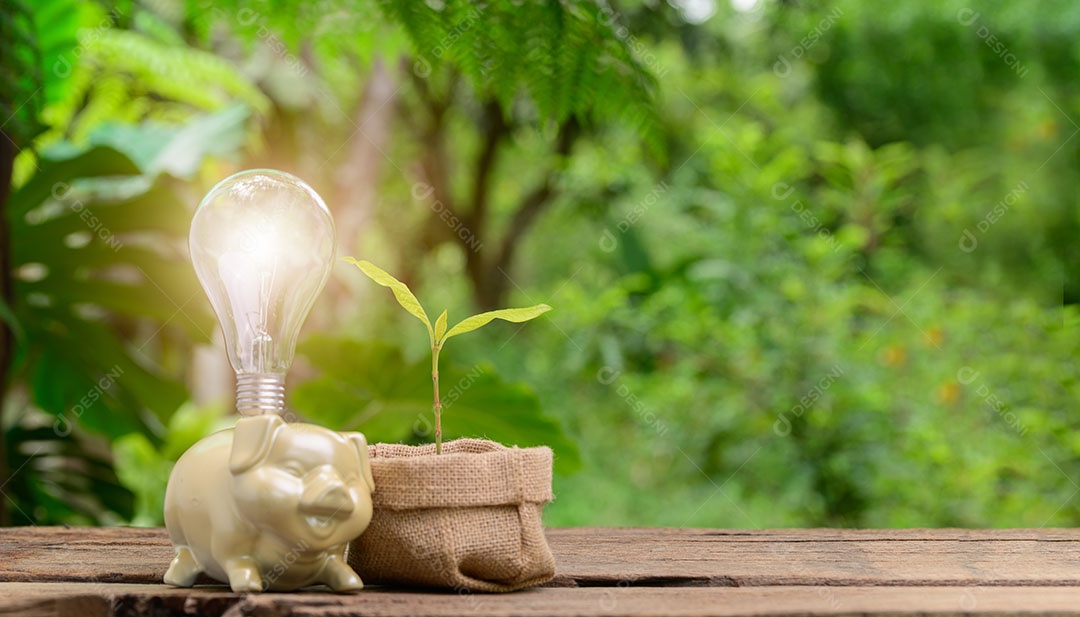 Salvando o cofrinho do conceito de dinheiro