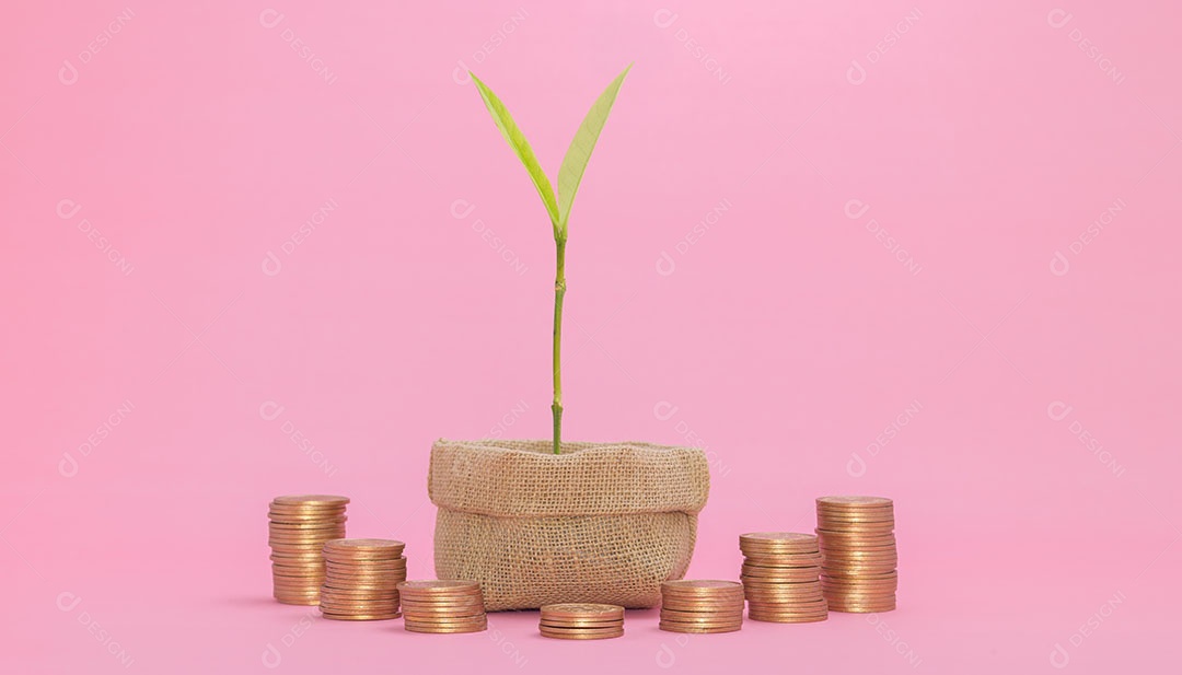 O investimento em ações conceituais coleta dinheiro em moedas empilhadas