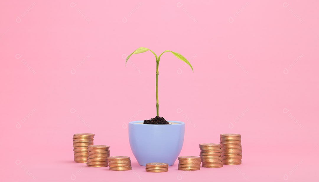 O investimento em ações conceituais coleta dinheiro em moedas empilhadas