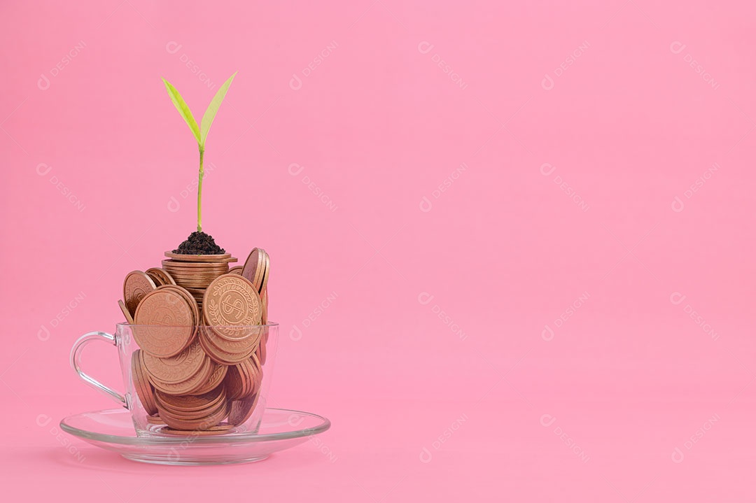 Economize dinheiro, invista em ações, cresça financeiramente.