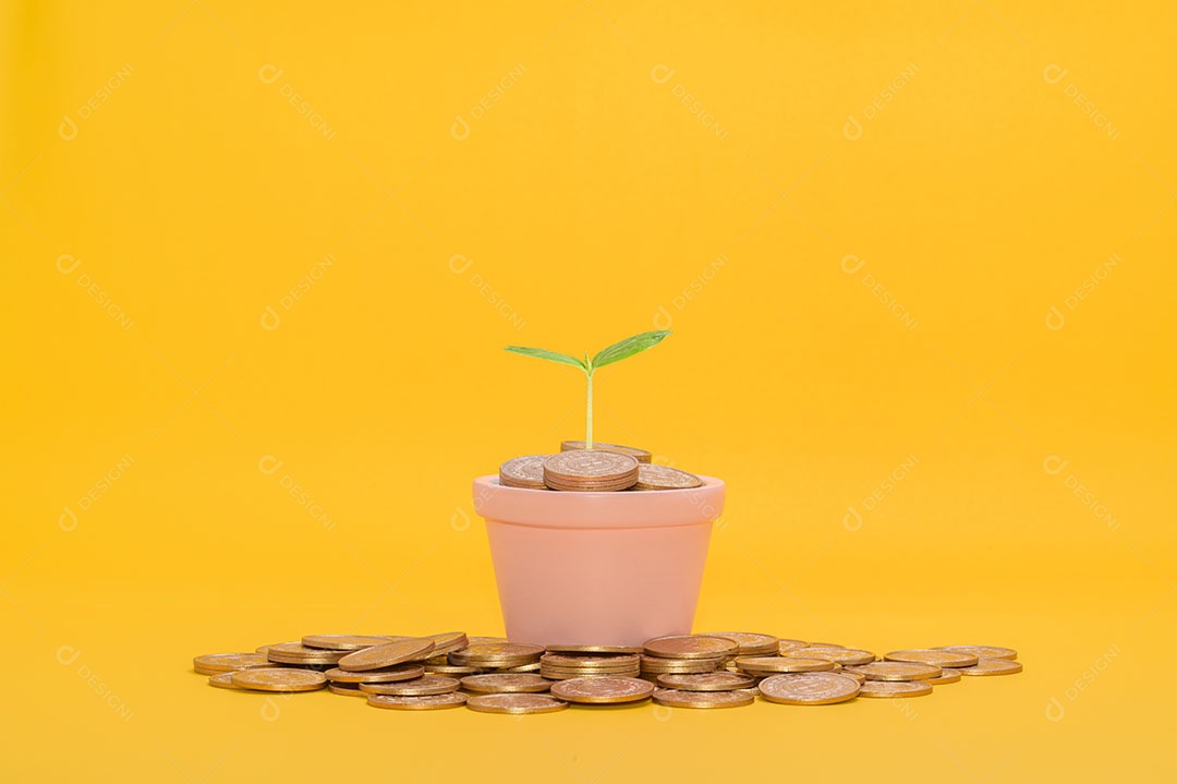 Economizar dinheiro, investir em ações, crescimento financeiro, renda