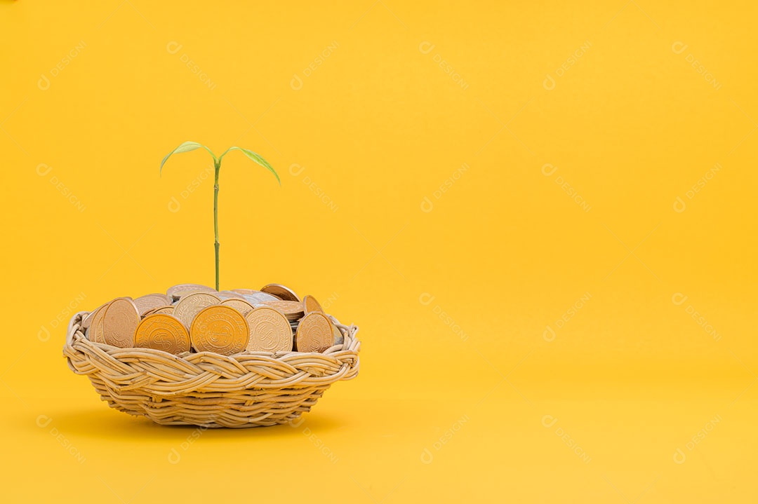 Economizar dinheiro, investir em ações, crescimento financeiro, renda