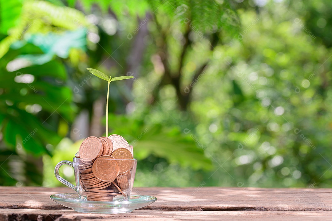 Conceito, investimento, estoque, economizando dinheiro, crescimento financeiro