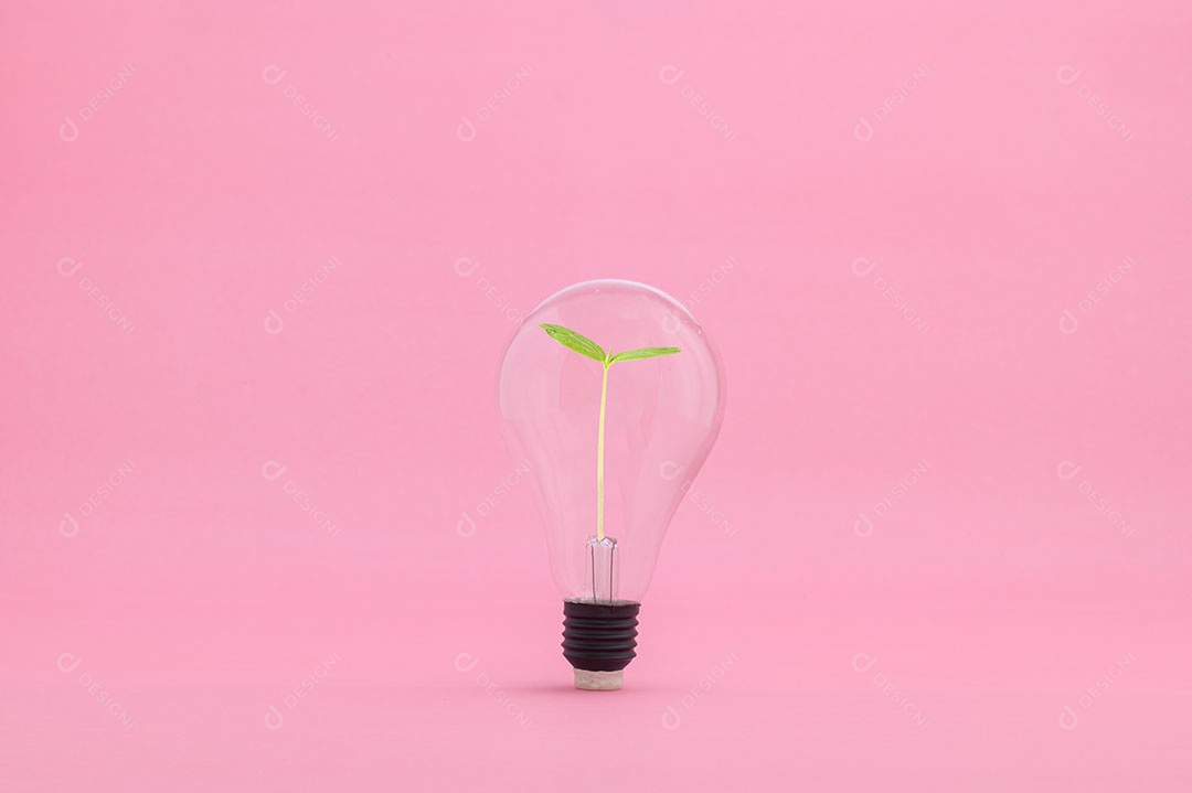 O crescimento de novas ideias