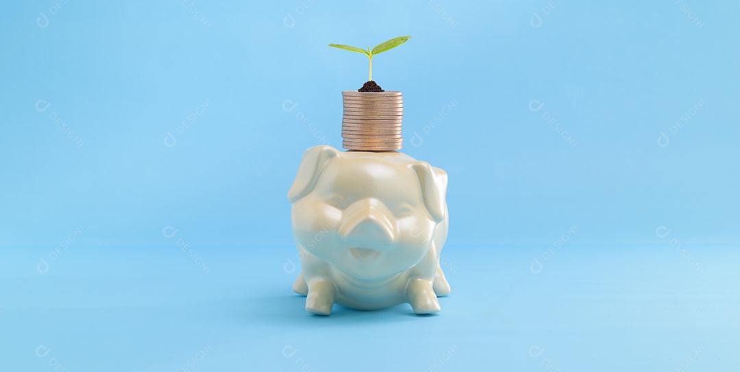 Salvando o cofrinho do conceito de dinheiro