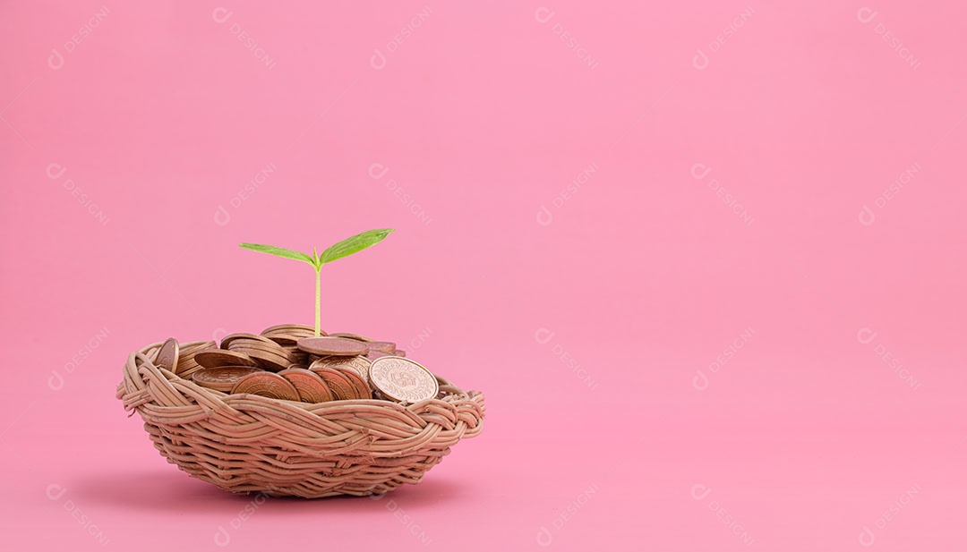 Economize dinheiro, invista em ações, cresça financeiramente.