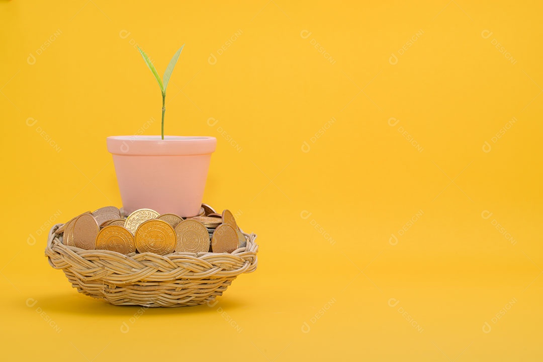 Economizar dinheiro, investir em ações, crescimento financeiro, renda