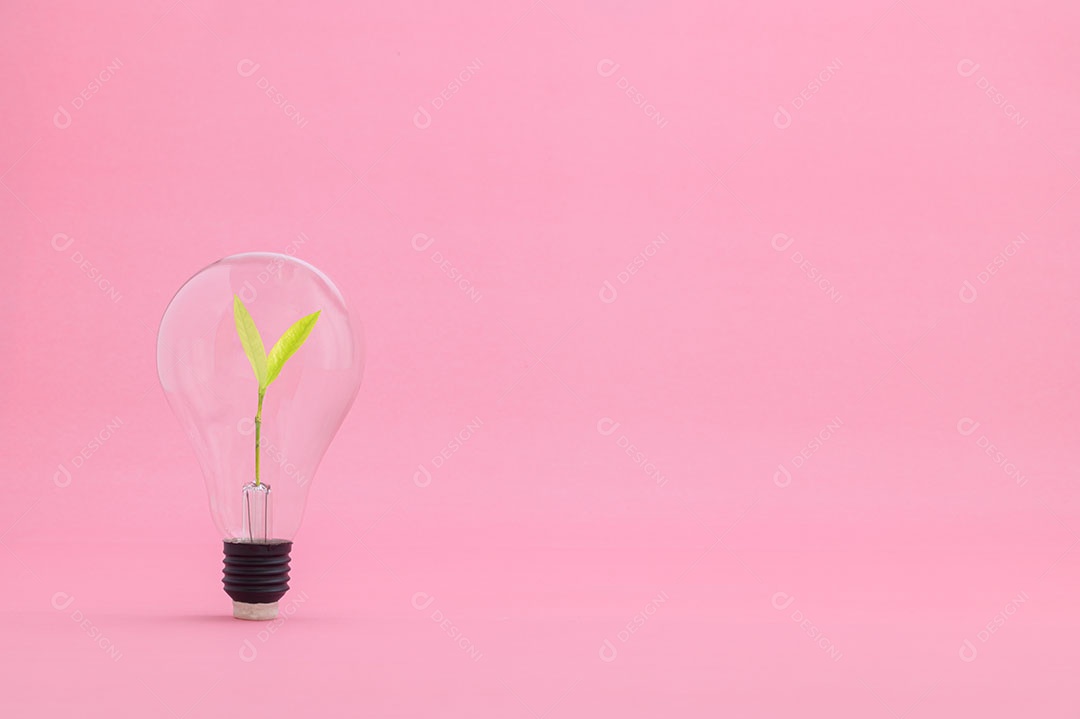 Economizar dinheiro, investir em ações, crescimento financeiro, renda