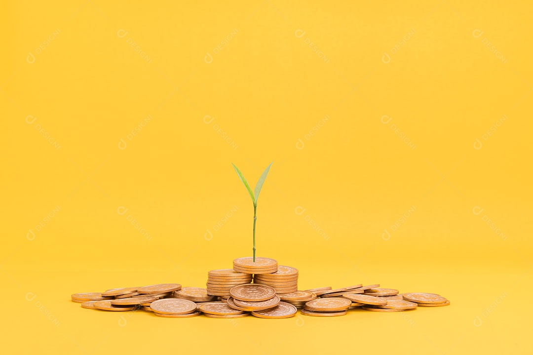 Economizar dinheiro, investir em ações, crescimento financeiro, renda