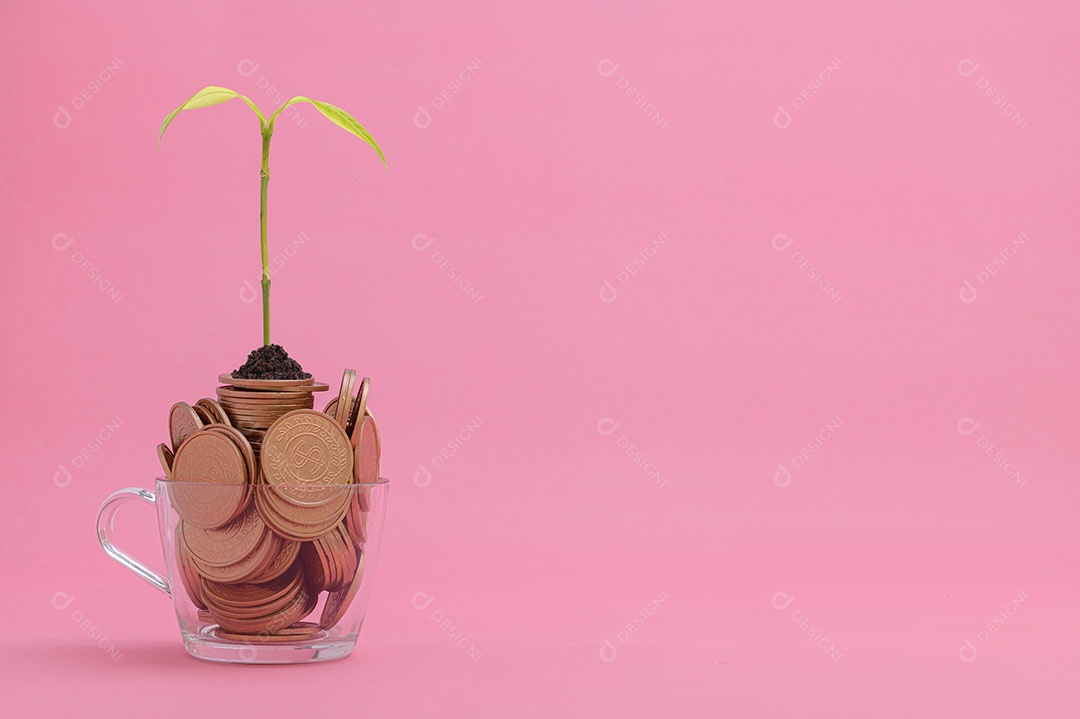 Economize dinheiro, invista em ações, cresça financeiramente.