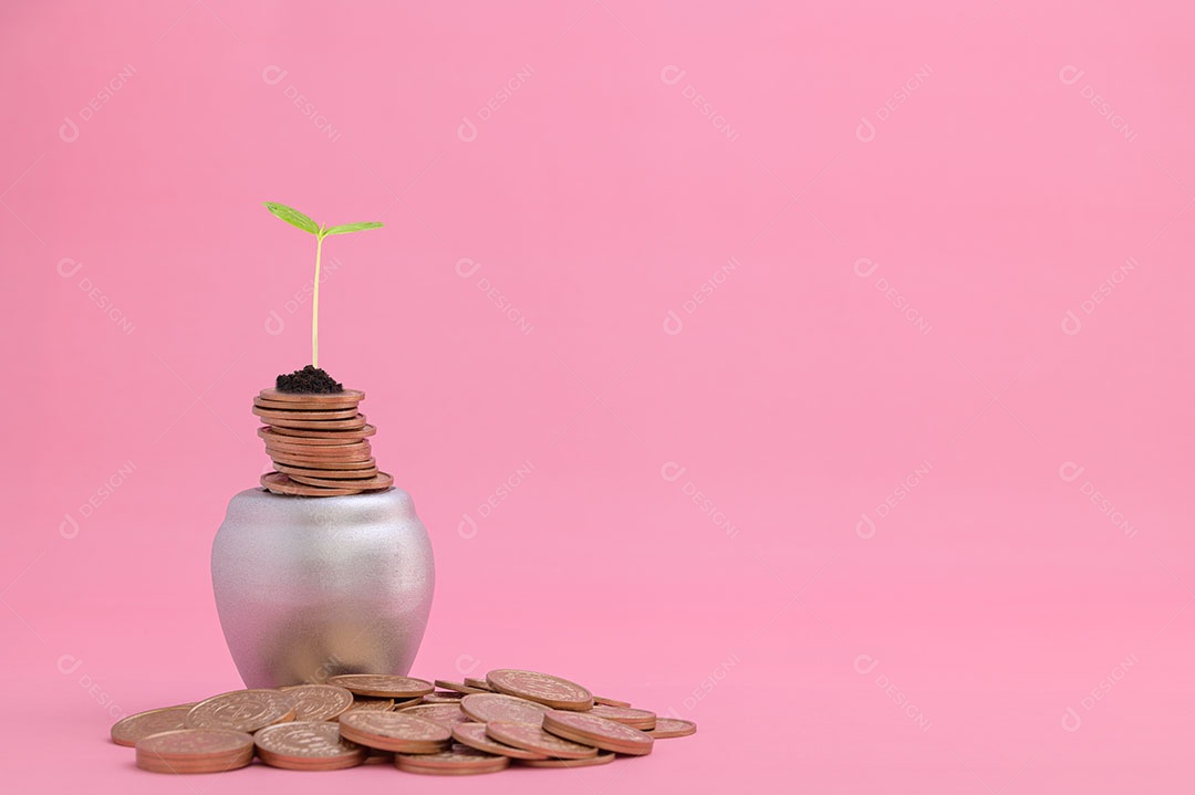 Economize dinheiro, invista em ações, cresça financeiramente.