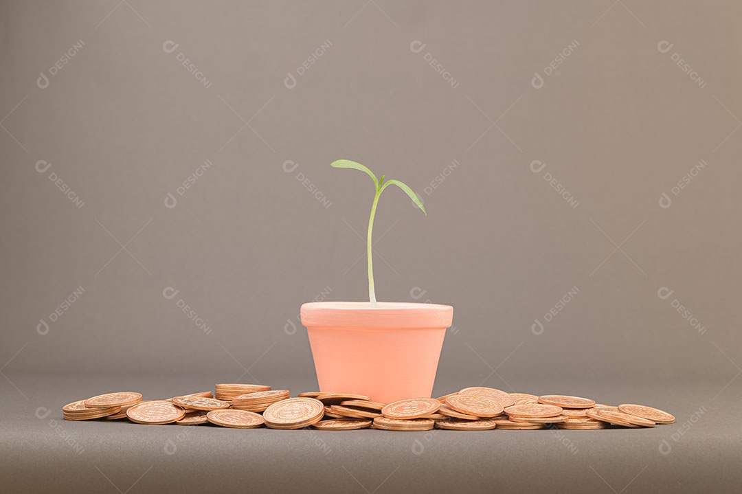 Ideas to increase income, invest, stock up, save