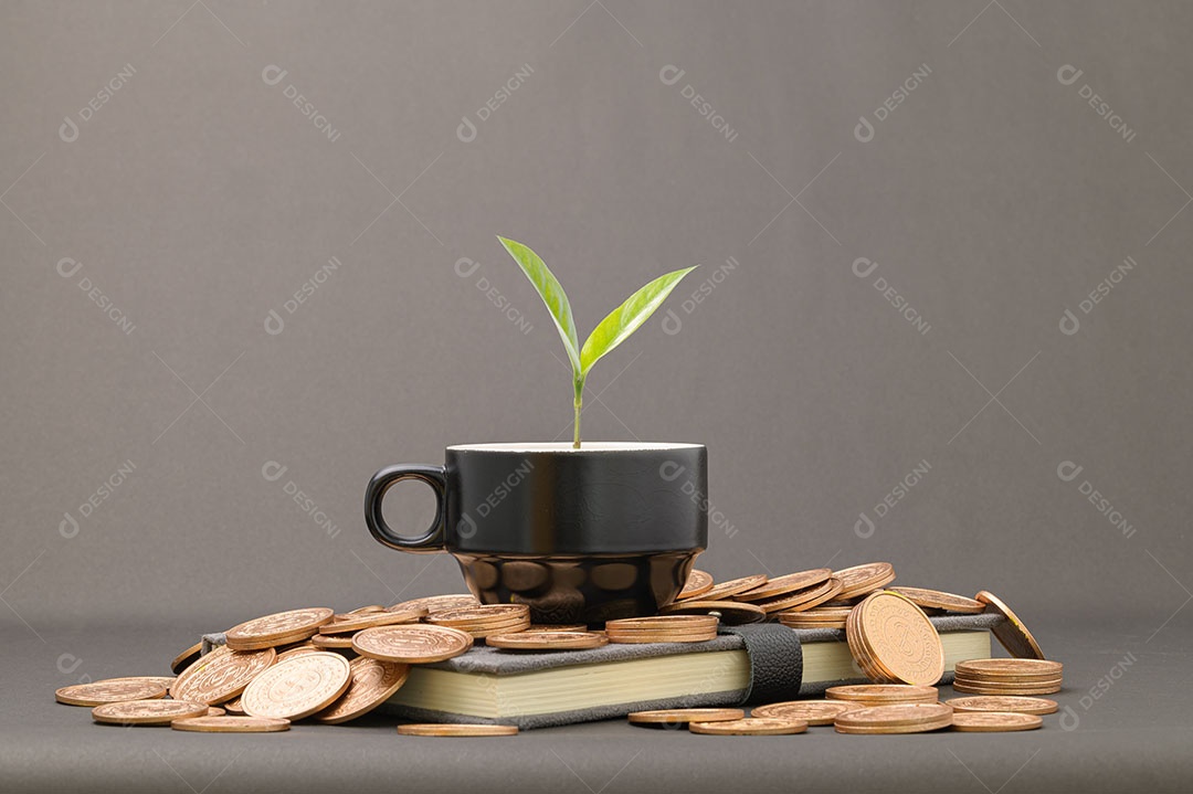 Economize no crescimento da renda de investimentos em ações