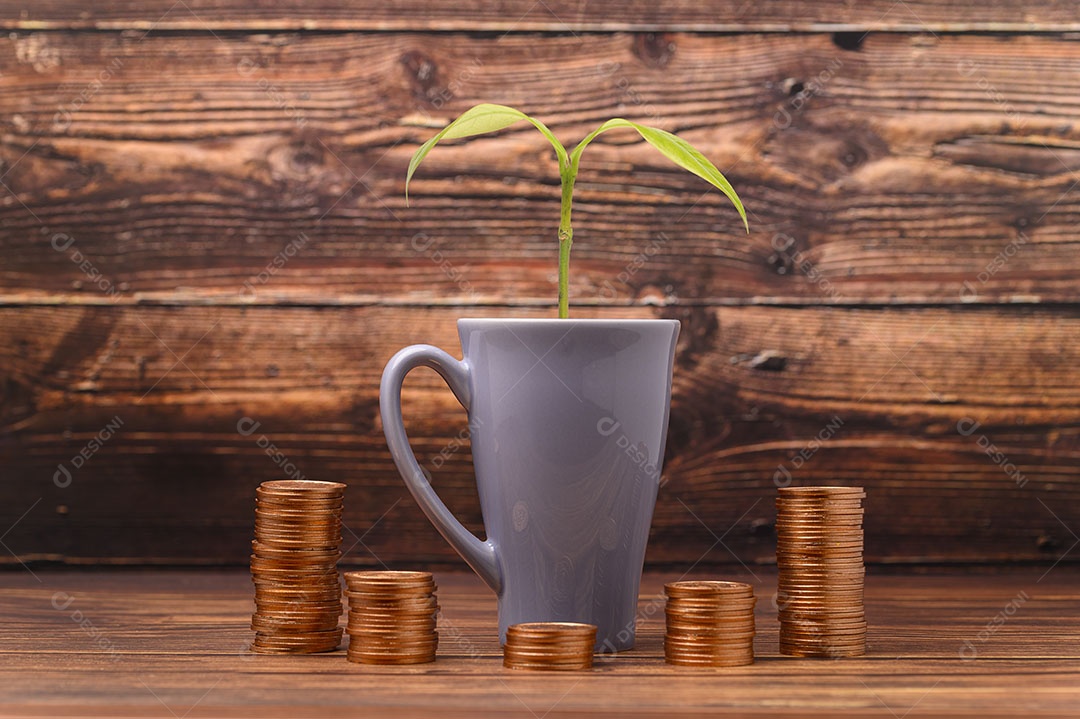 Ganhar dinheiro Economizar dinheiro Investir ações Impostos