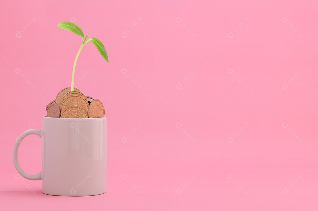 Economize dinheiro, invista em ações, cresça financeiramente.