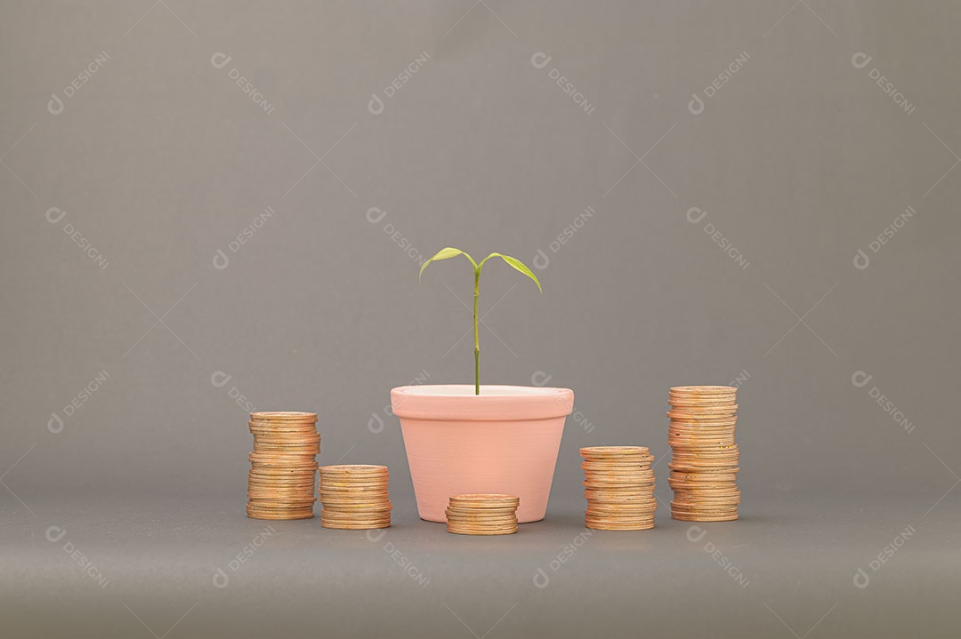 Conceito de moedas empilhadas Finanças para aumentar a renda, investir em ações