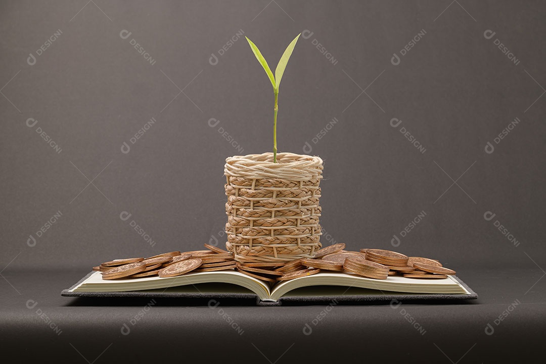 Economize no crescimento da renda de investimentos em ações