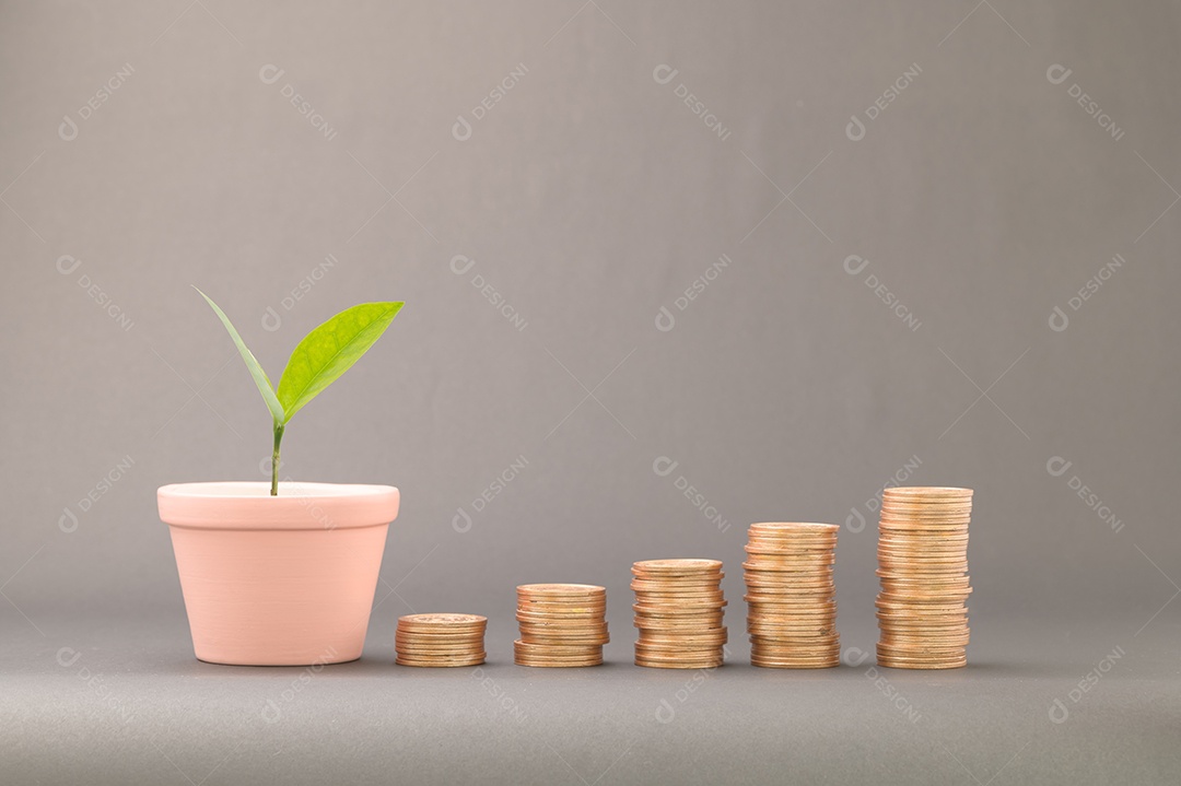 Economize no crescimento da renda de investimentos em ações