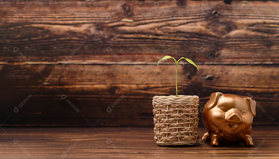 Cofrinho mostrando poupança, renda, investimentos, ações