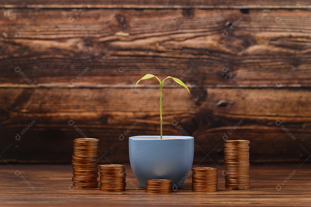 Ganhar dinheiro Economizar dinheiro Investir ações Impostos