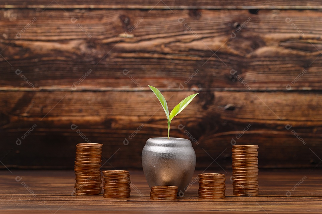 Ganhar dinheiro Economizar dinheiro Investir ações Impostos