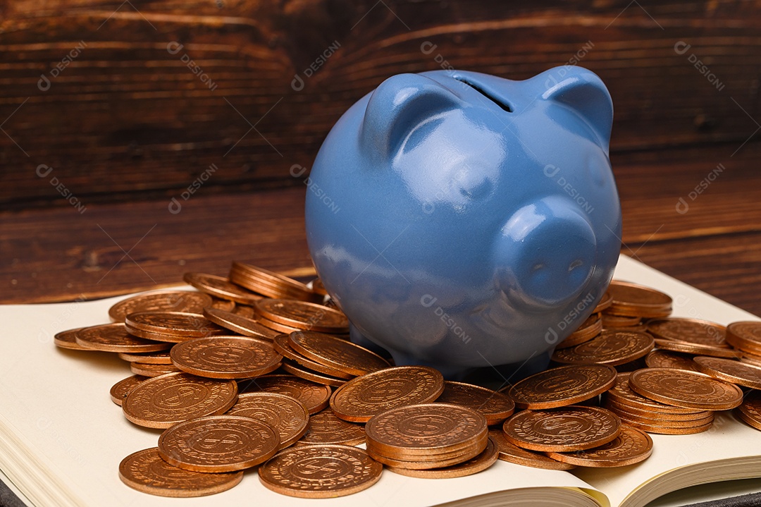 Cofrinho economizar dinheiro, renda, investir, estoque