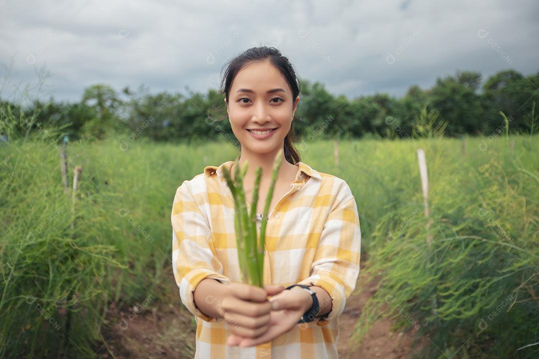O agricultor e os jardineiros estão colhendo aspargos vegetais.