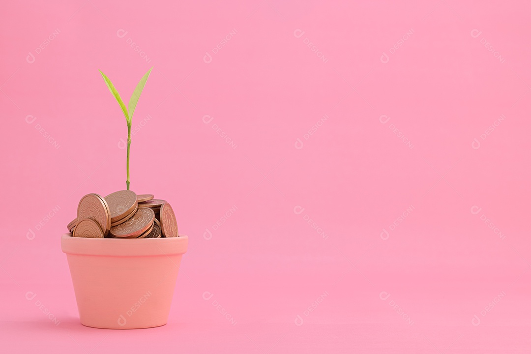 Ideias economizam dinheiro, investem em ações, aumentam o imposto de renda