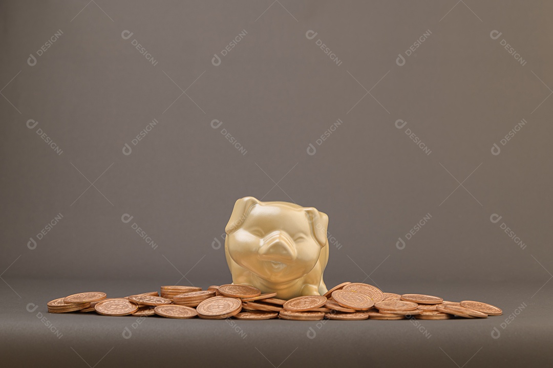 Ideias para aumentar a renda, investir, estocar, economizar