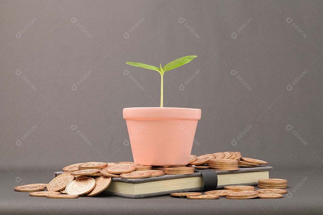 Economize no crescimento da renda de investimentos em ações