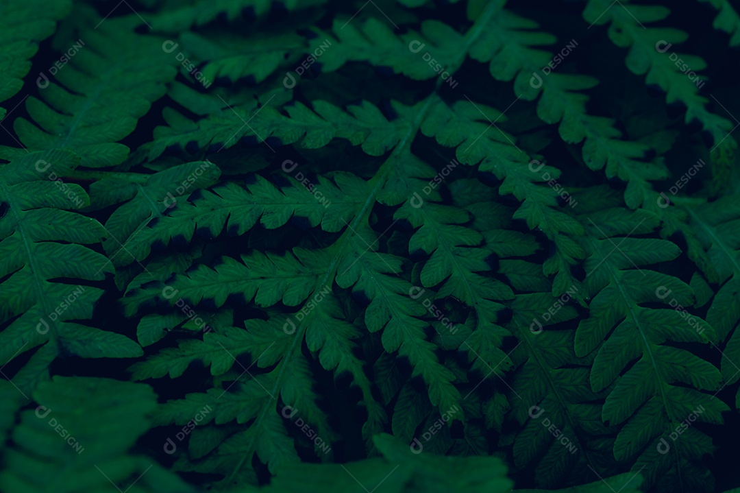 Plano de fundo deixa verde na natureza