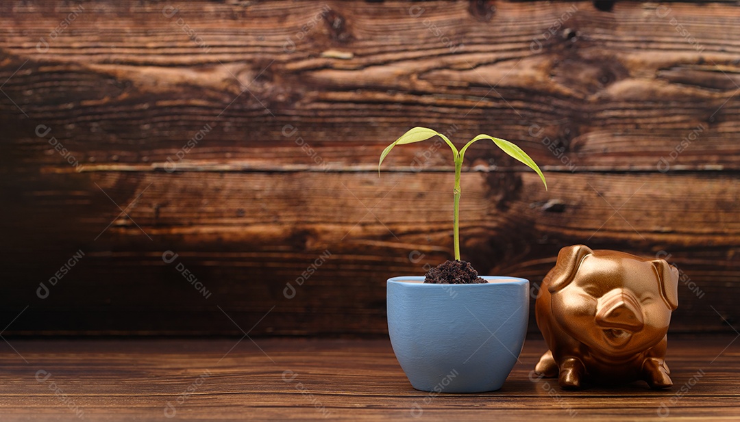 Cofrinho mostrando poupança, renda, investimentos, ações