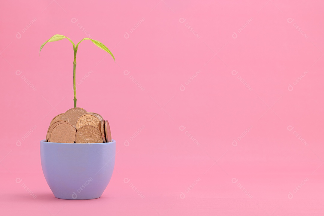 Economize dinheiro, invista em ações, cresça financeiramente.