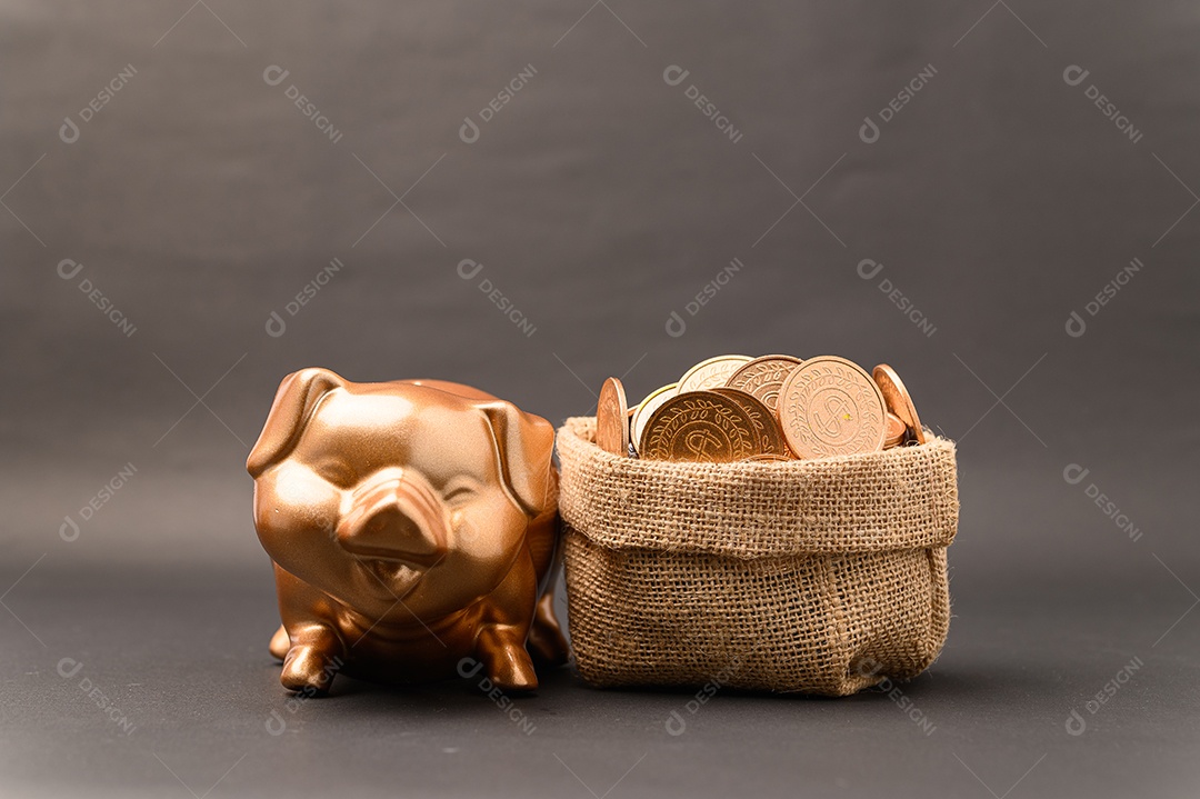 Cofrinho mostrando poupança, renda, investimentos, ações