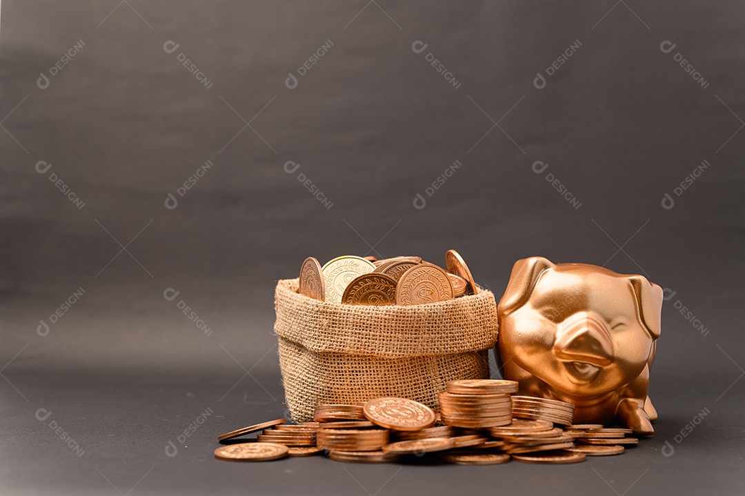 Cofrinho mostrando poupança, renda, investimentos, ações