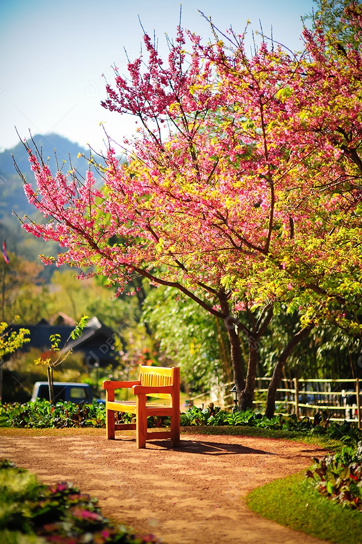Banco no parque no verão.