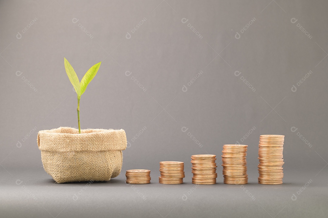 Conceito de moedas empilhadas Finanças para aumentar a renda, investir em ações