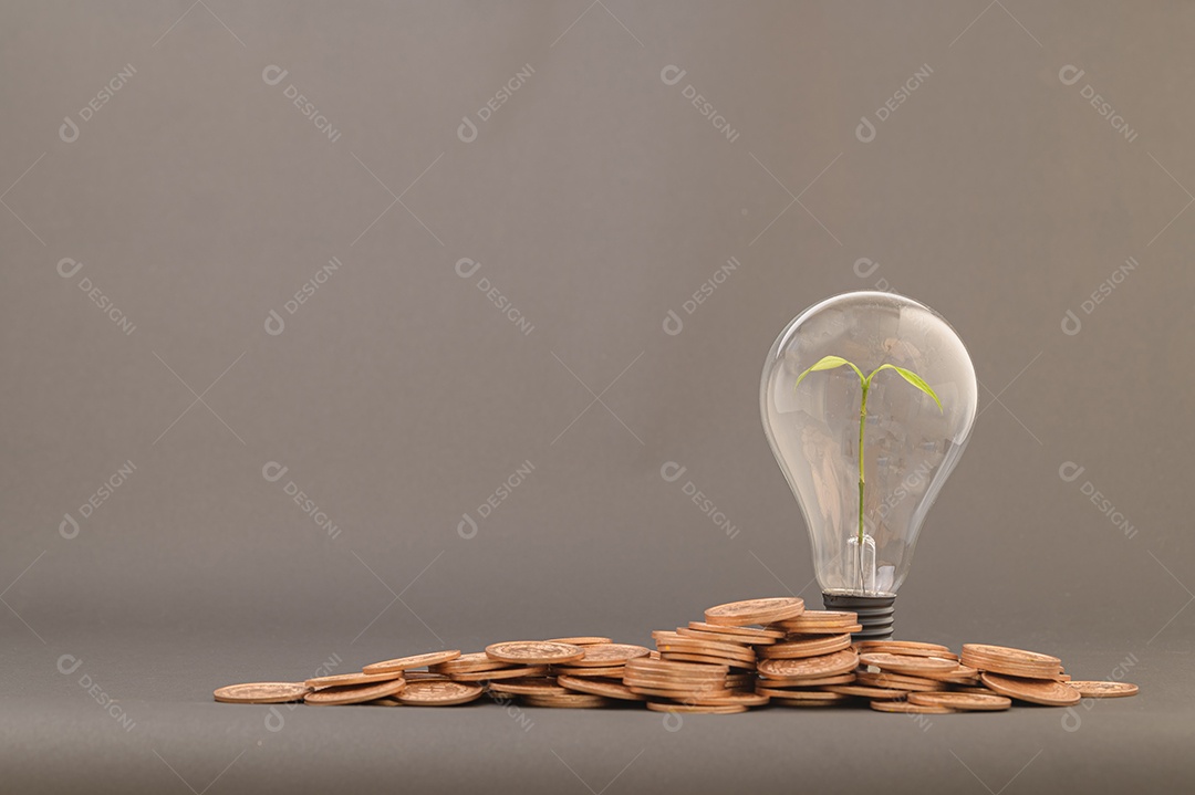 Ideias para aumentar a renda, investir, estocar, economizar