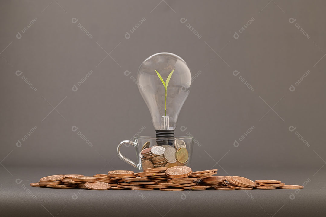 Ideias para aumentar a renda, investir, estocar, economizar