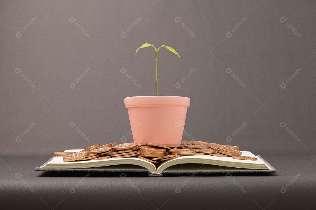 Economize no crescimento da renda de investimentos em ações